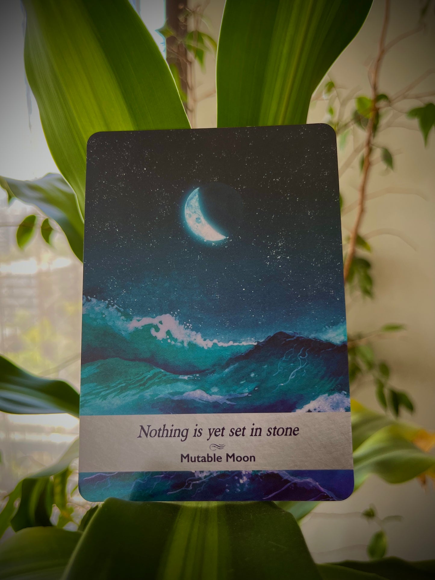 Shooting Star Oracle Message